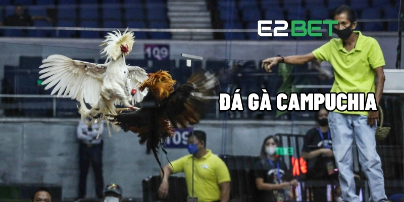 Đá Gà Campuchia – Nổ Kèo Mạnh, Thắng Lớn Mỗi Ngày Tại E2BET 1 Đá gà Campuchia